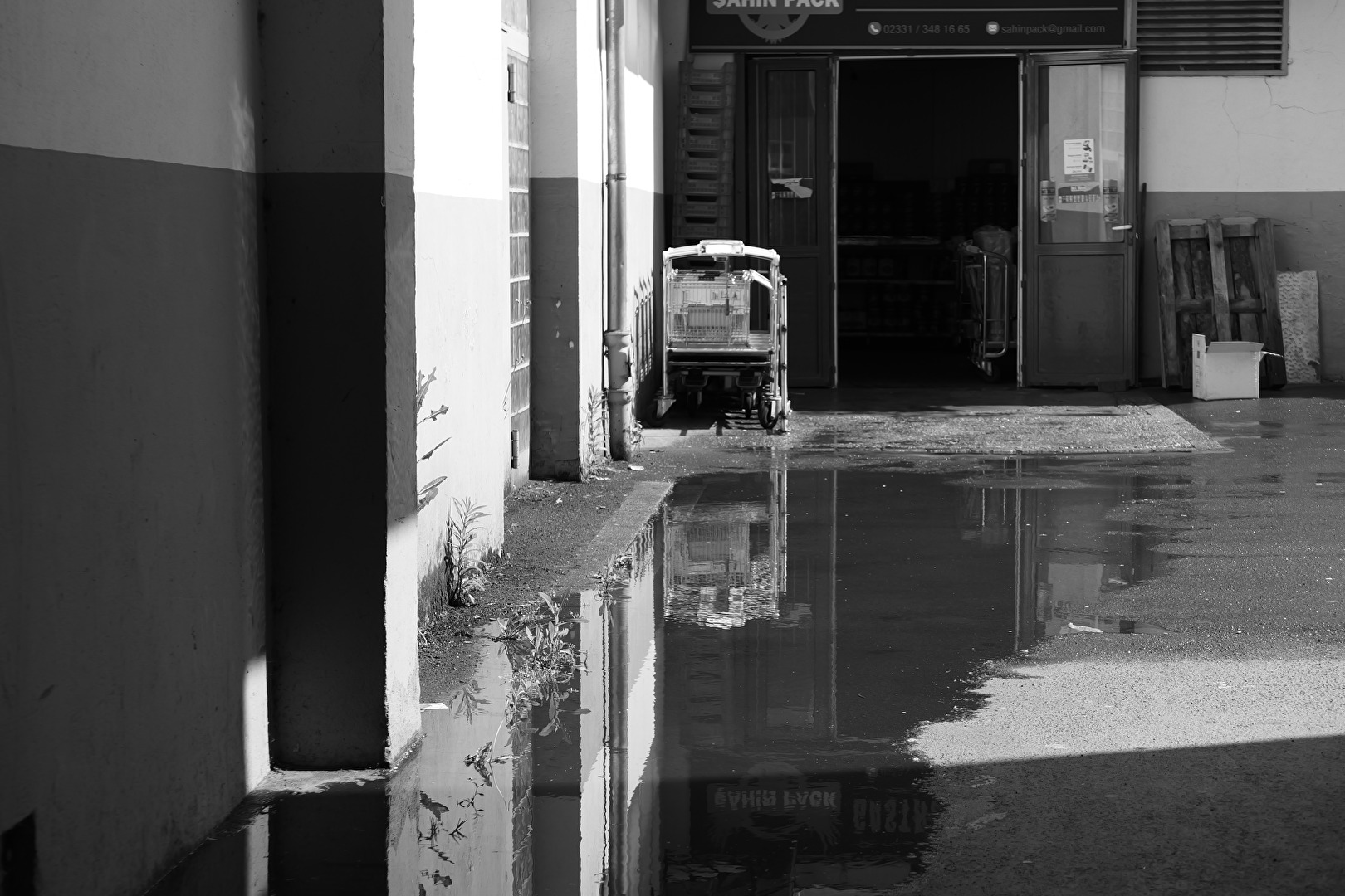 Puddle