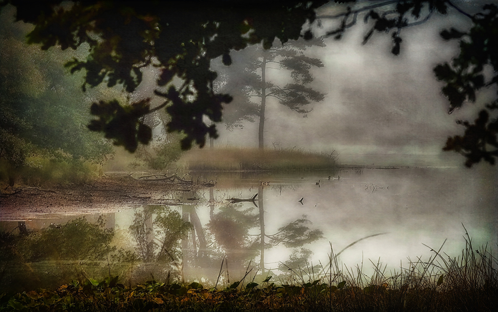 Siehe im Nebel