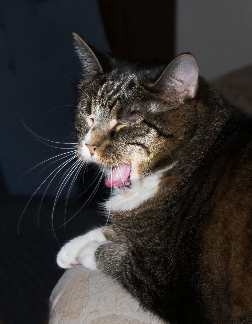 ich habe Hunger !