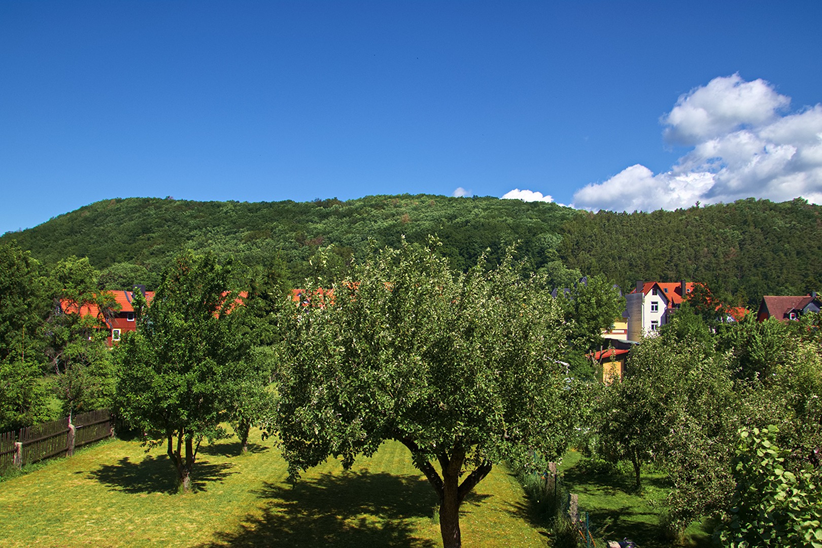 View of the landscape