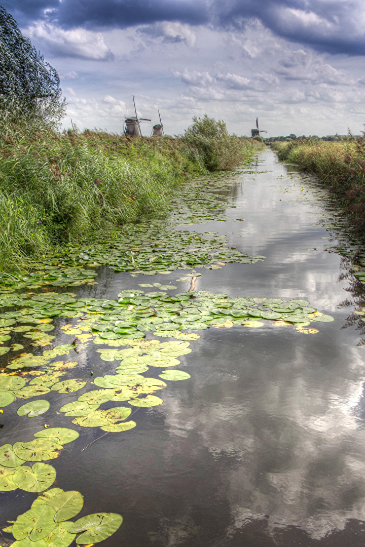 Waterways of Memory