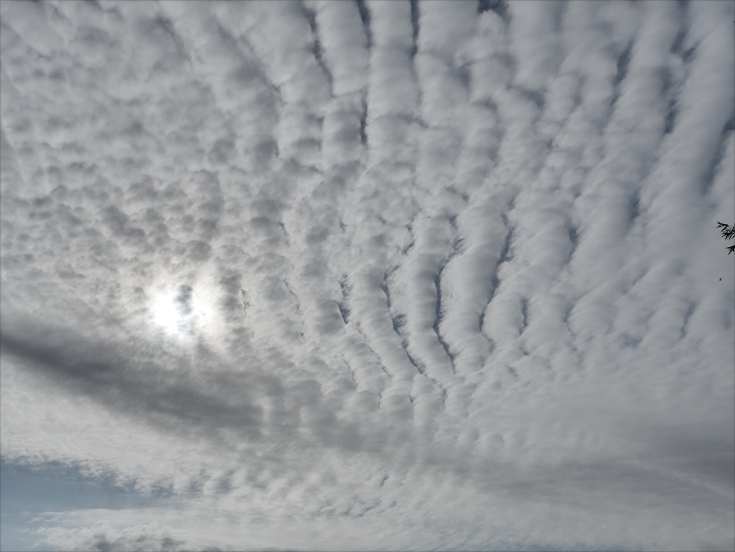versteckte Sonne