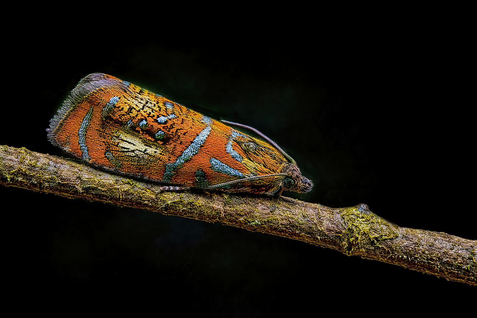 Wie ein kleiner, bunter Teppich.
