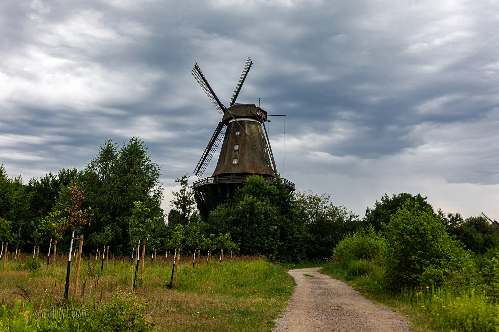 der weite Weg zur Mühle - Mühlenmuseum Gifhorn
