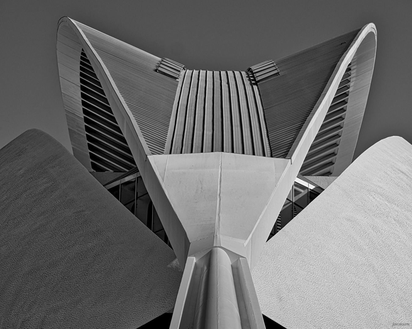 Palau de les Arts Reina Sofia 2