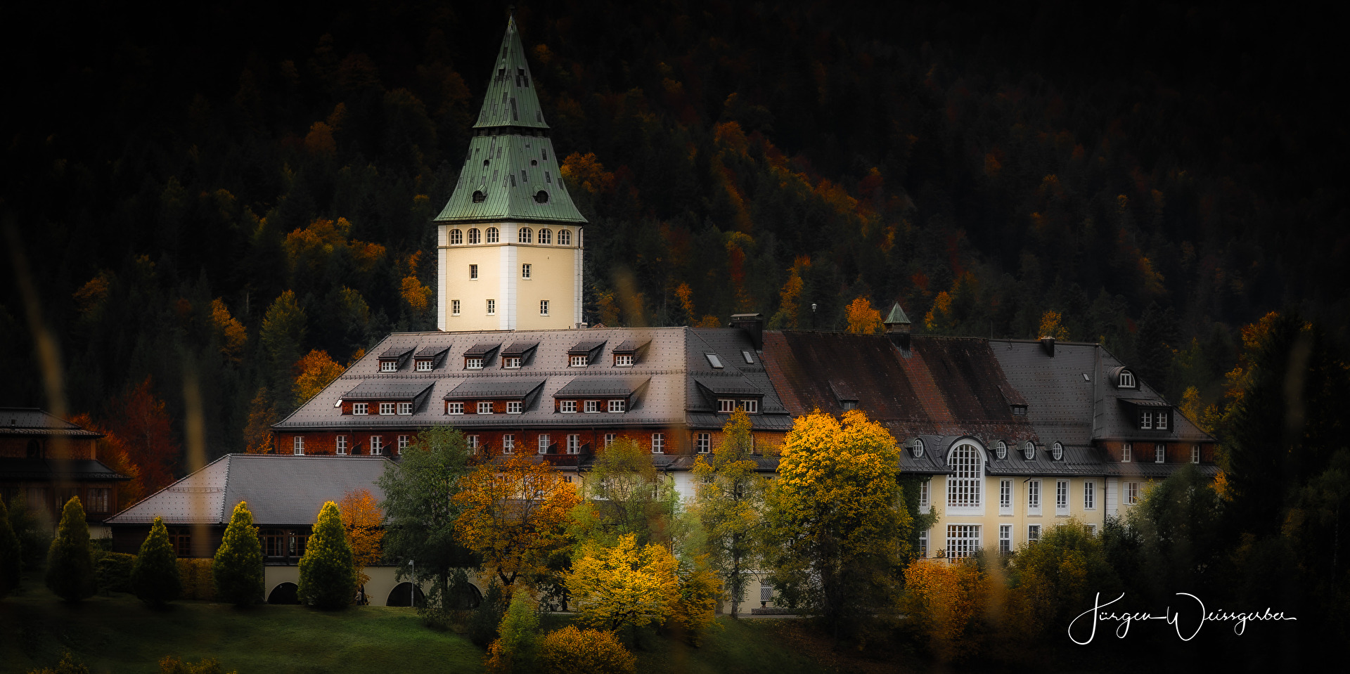 Zwischen Wald und Welt