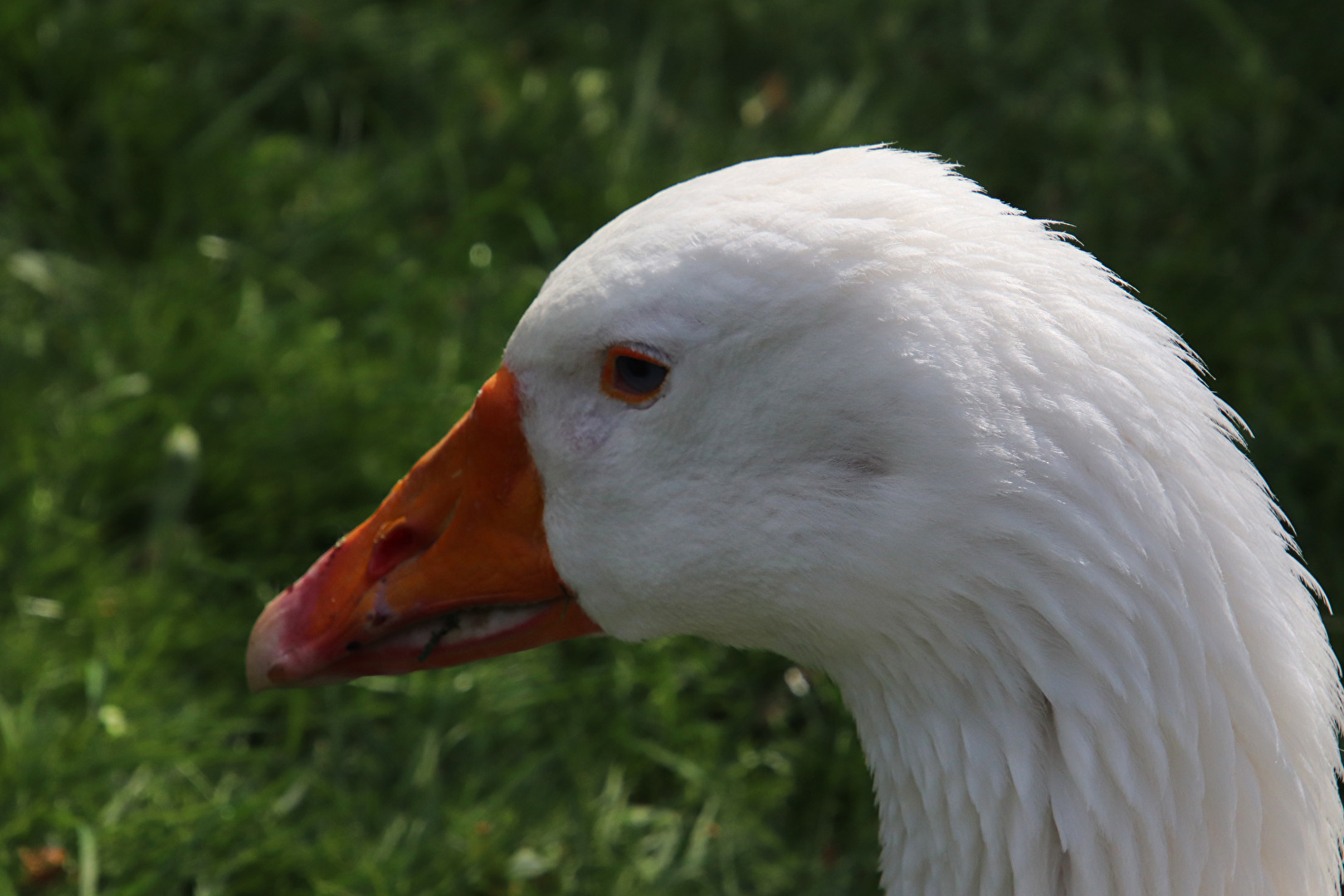 Hast Du auch mich richtig erwischt