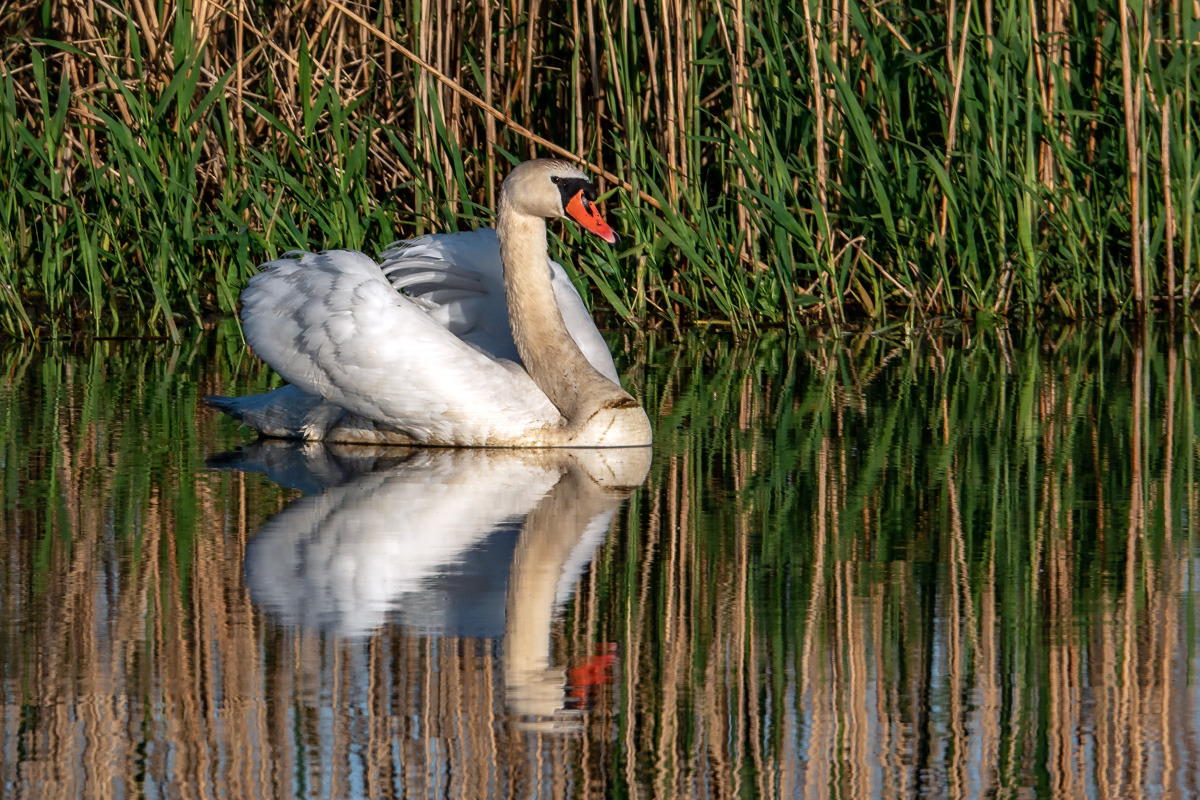 Spieglein Spieglein....