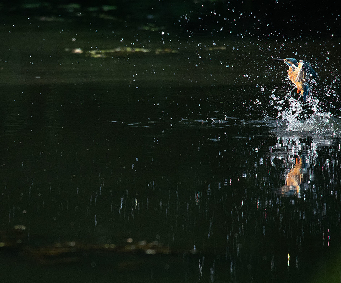 Start aus dem Wasser