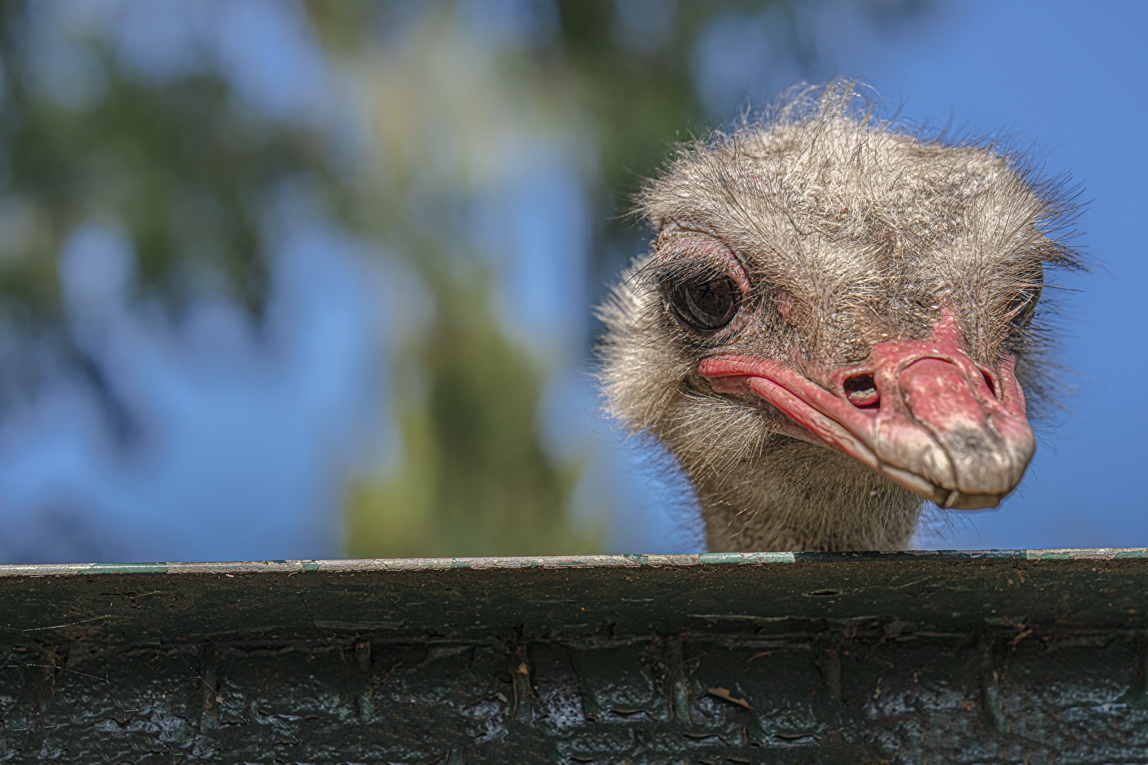 Wollte nur mal schauen