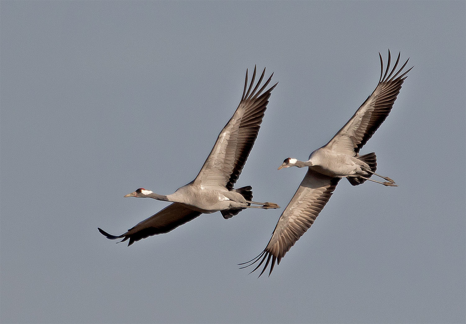 gemeinsam eine Platzrunde