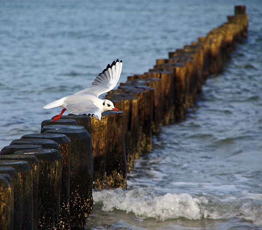 Achtung, Wellenbrecher.