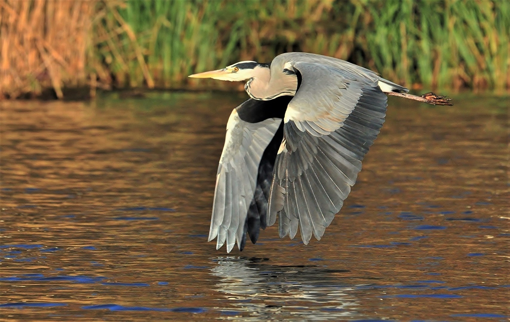 " Das Ziel vor Augen "