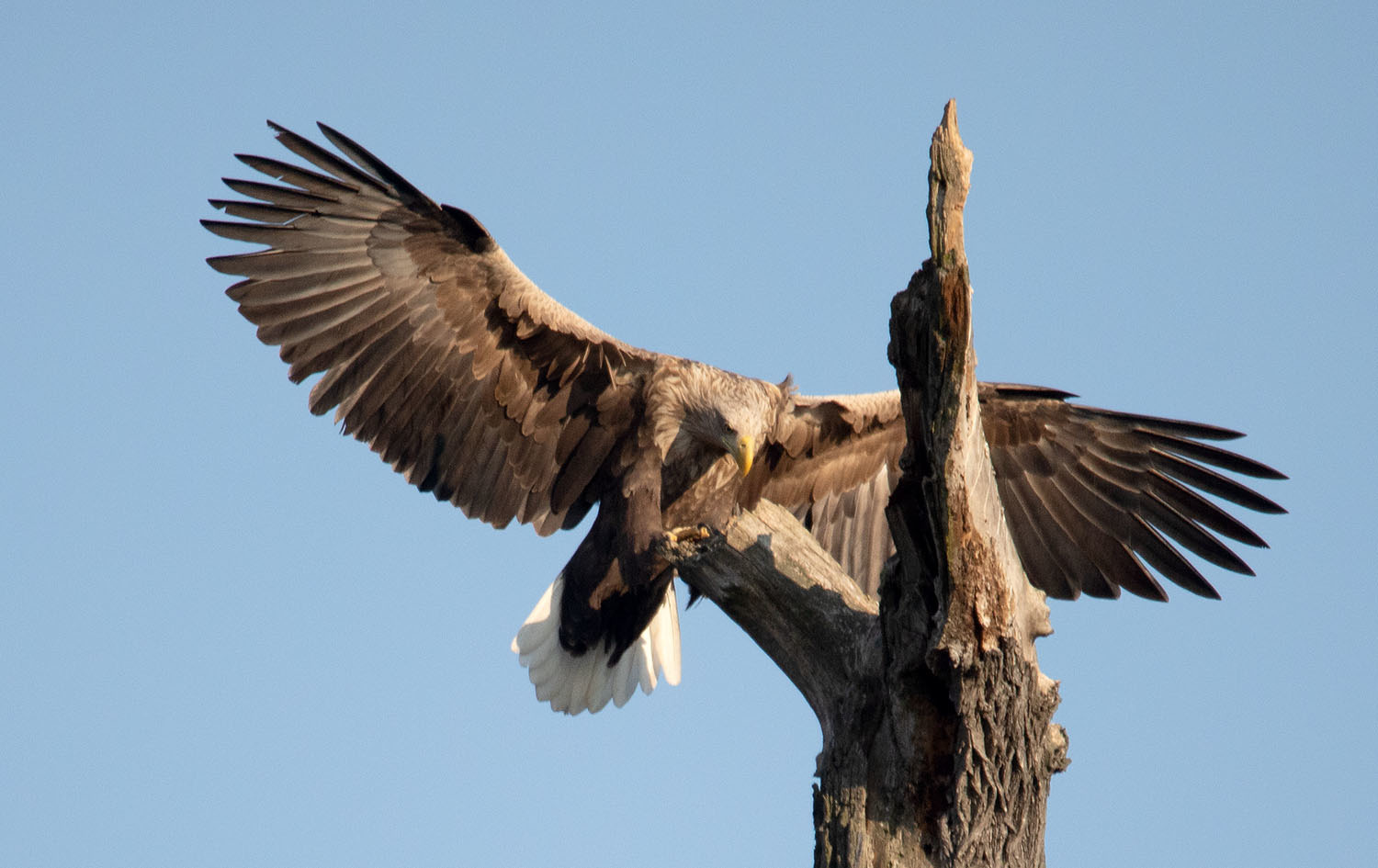 Pause, gleich hab ich es geschafft