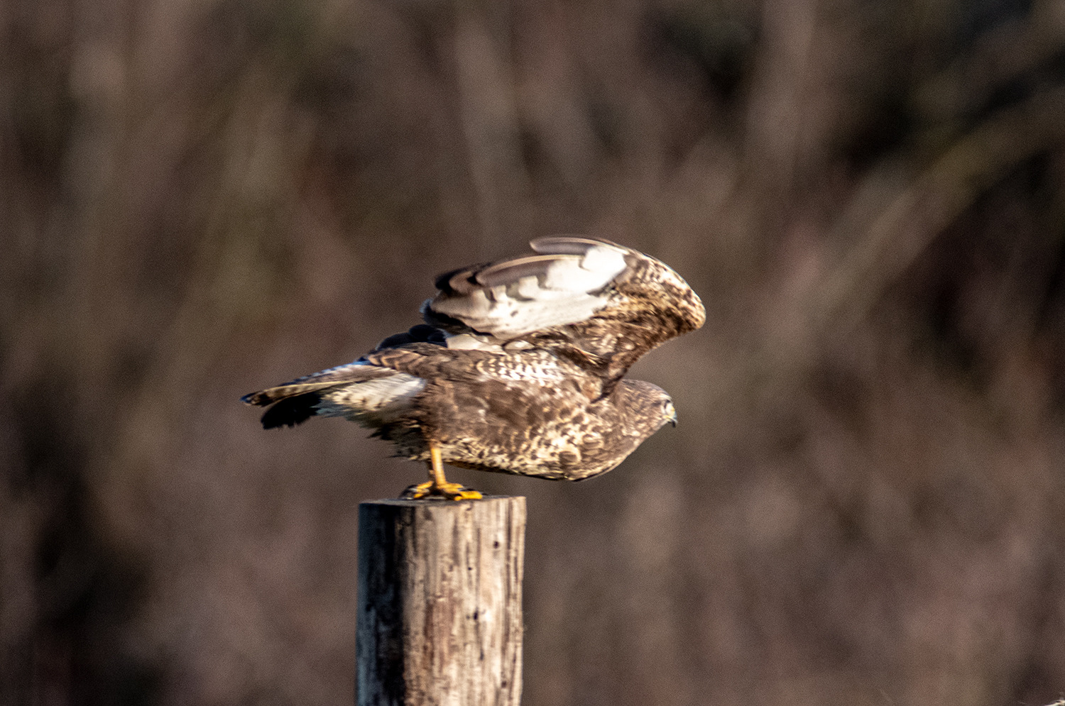 Abflug