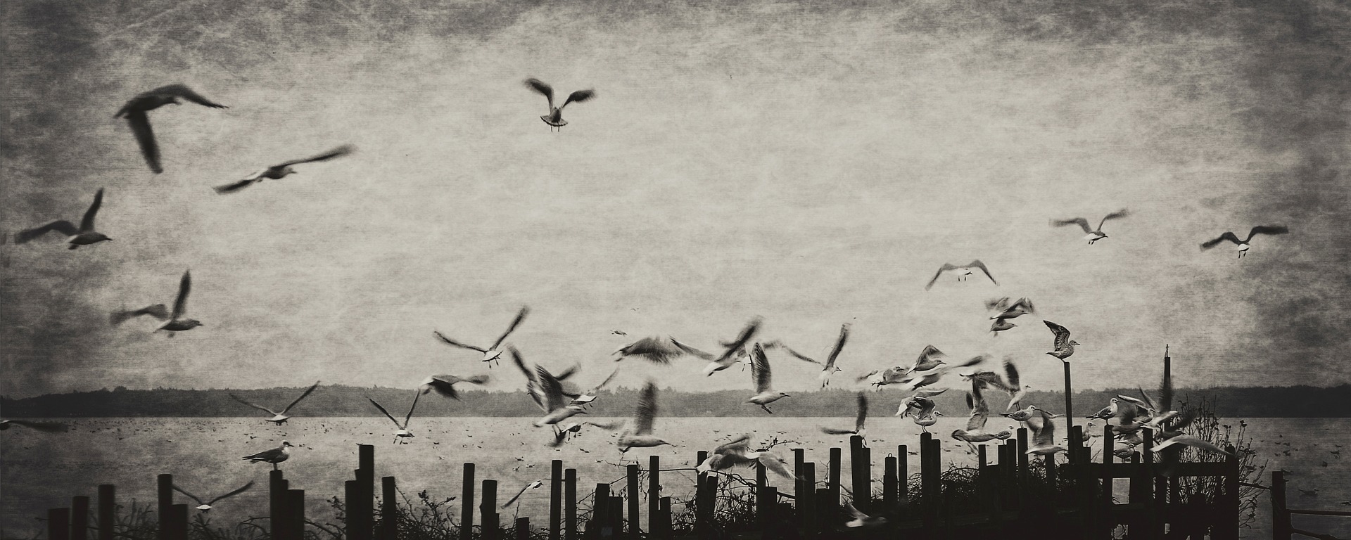 Schmuddelwetter in Bad Zwischenahn