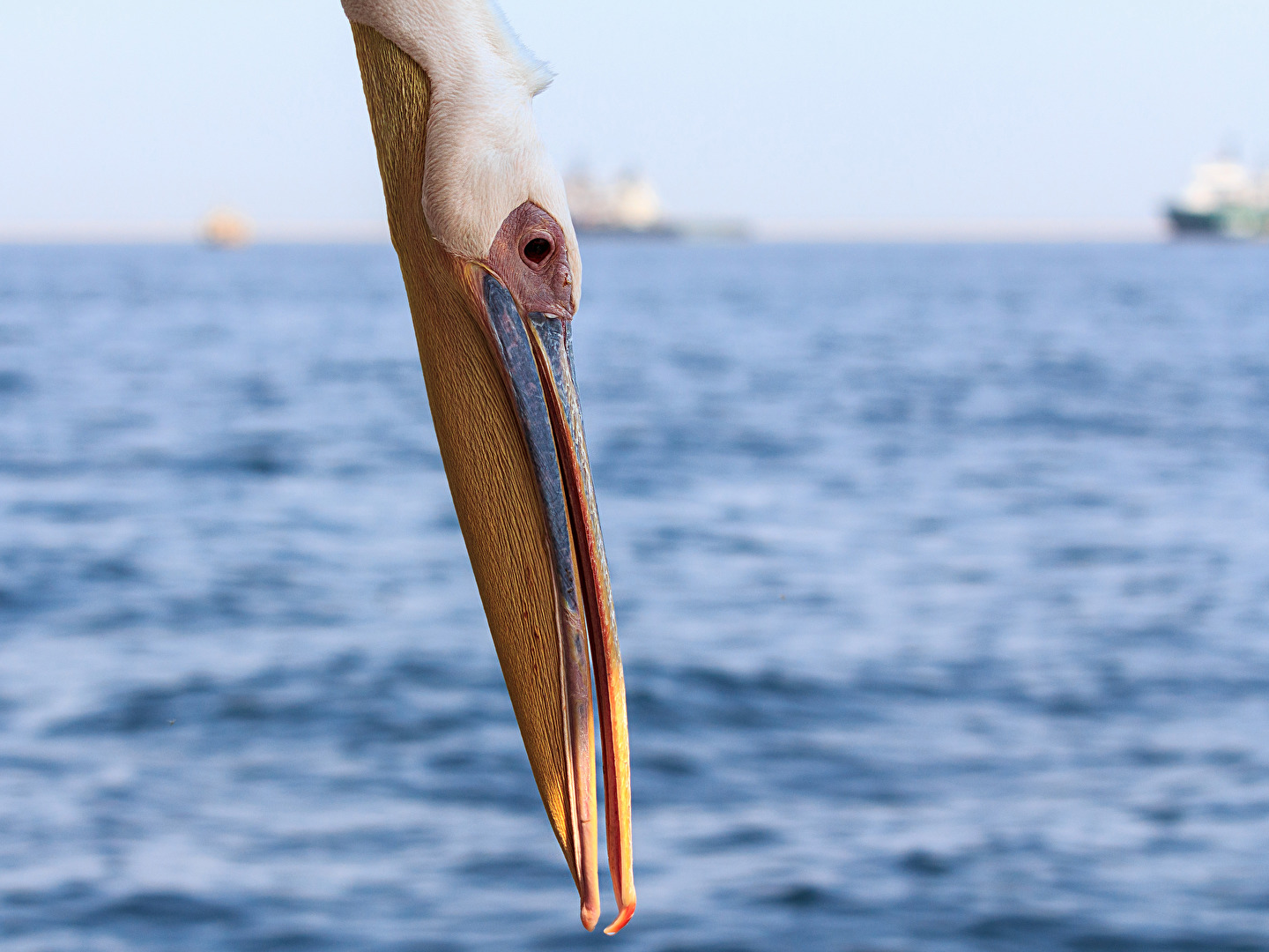 Also, von oben betrachtet ...