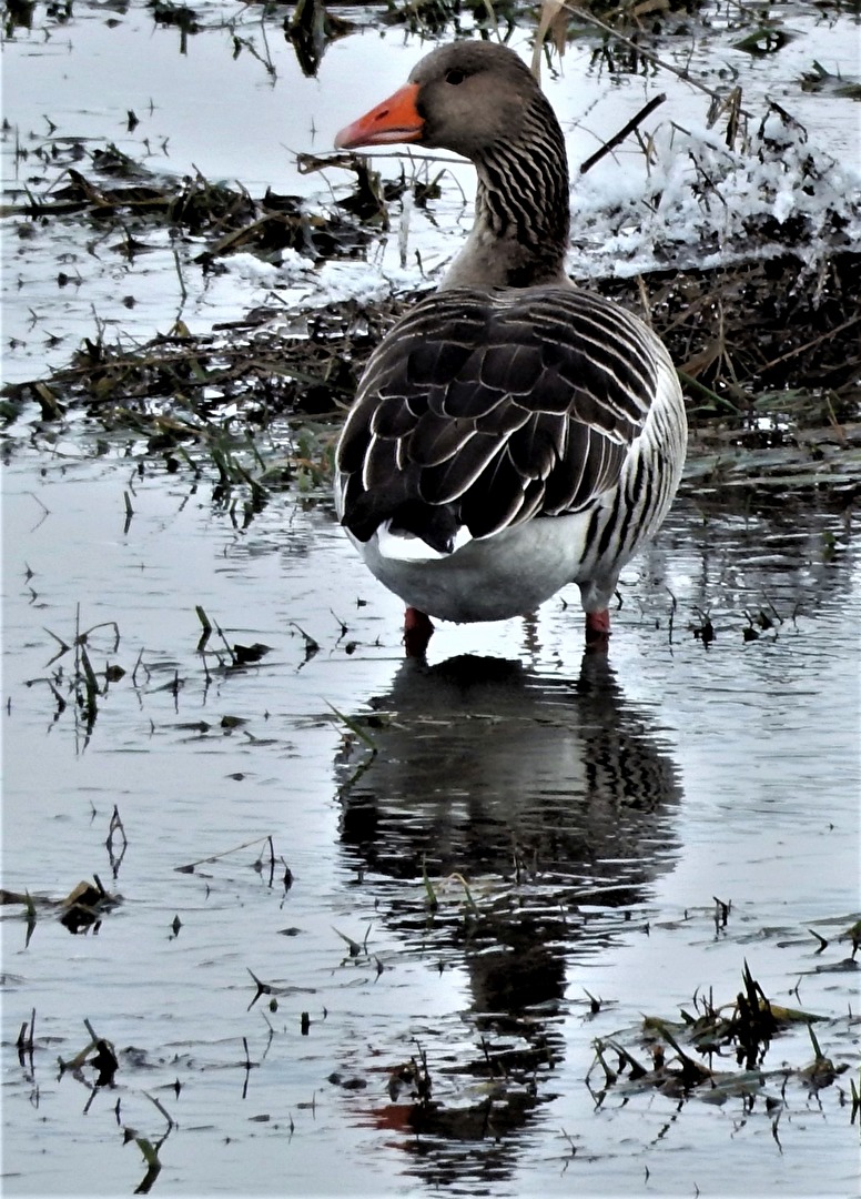 Blick zurück