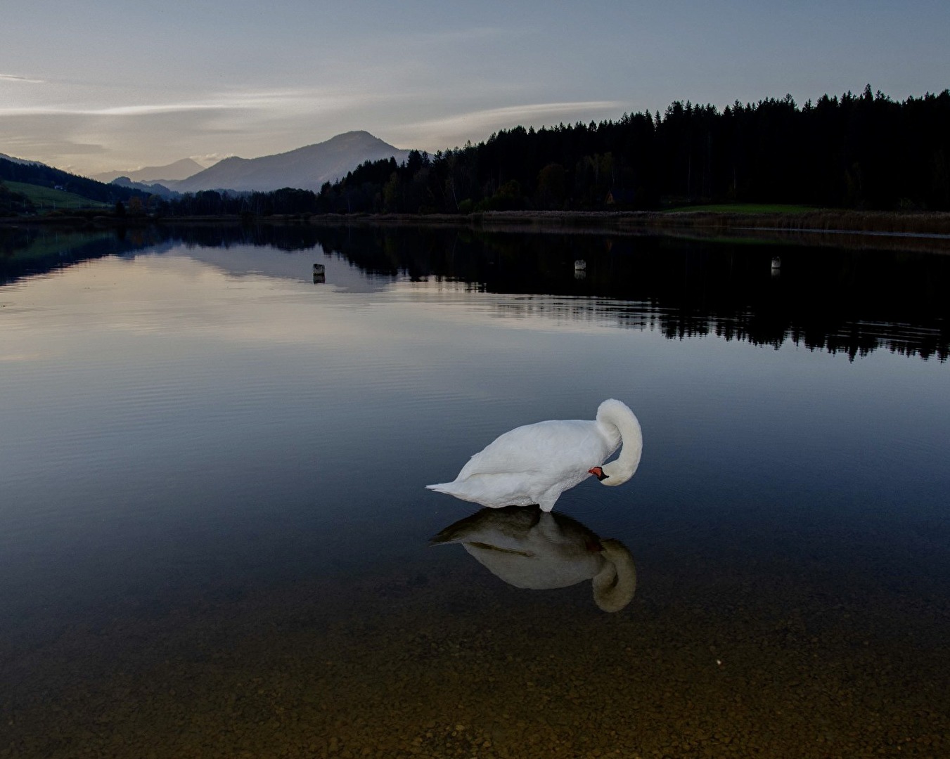 Schwanensee
