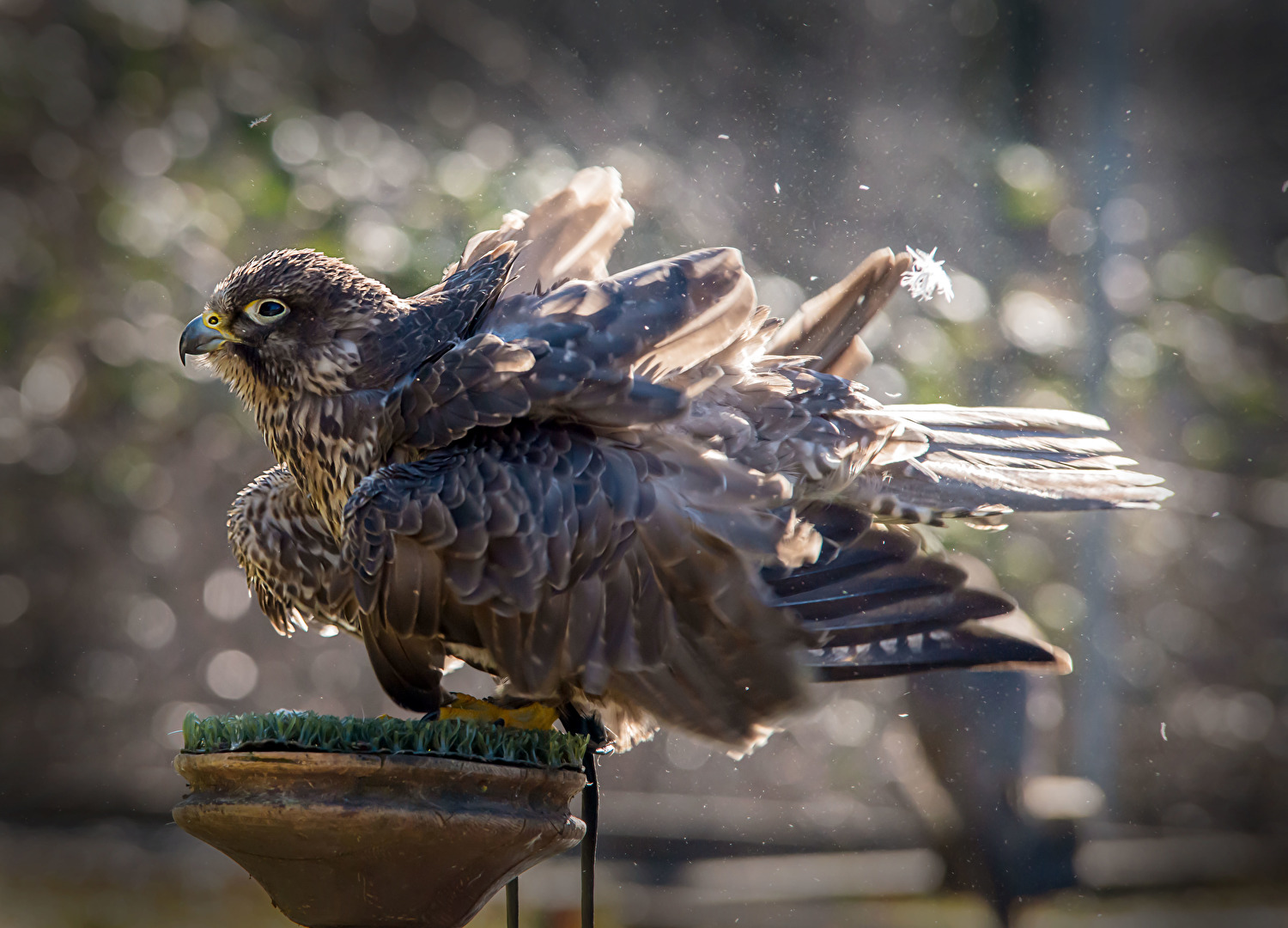 Zoo Neunkirchen