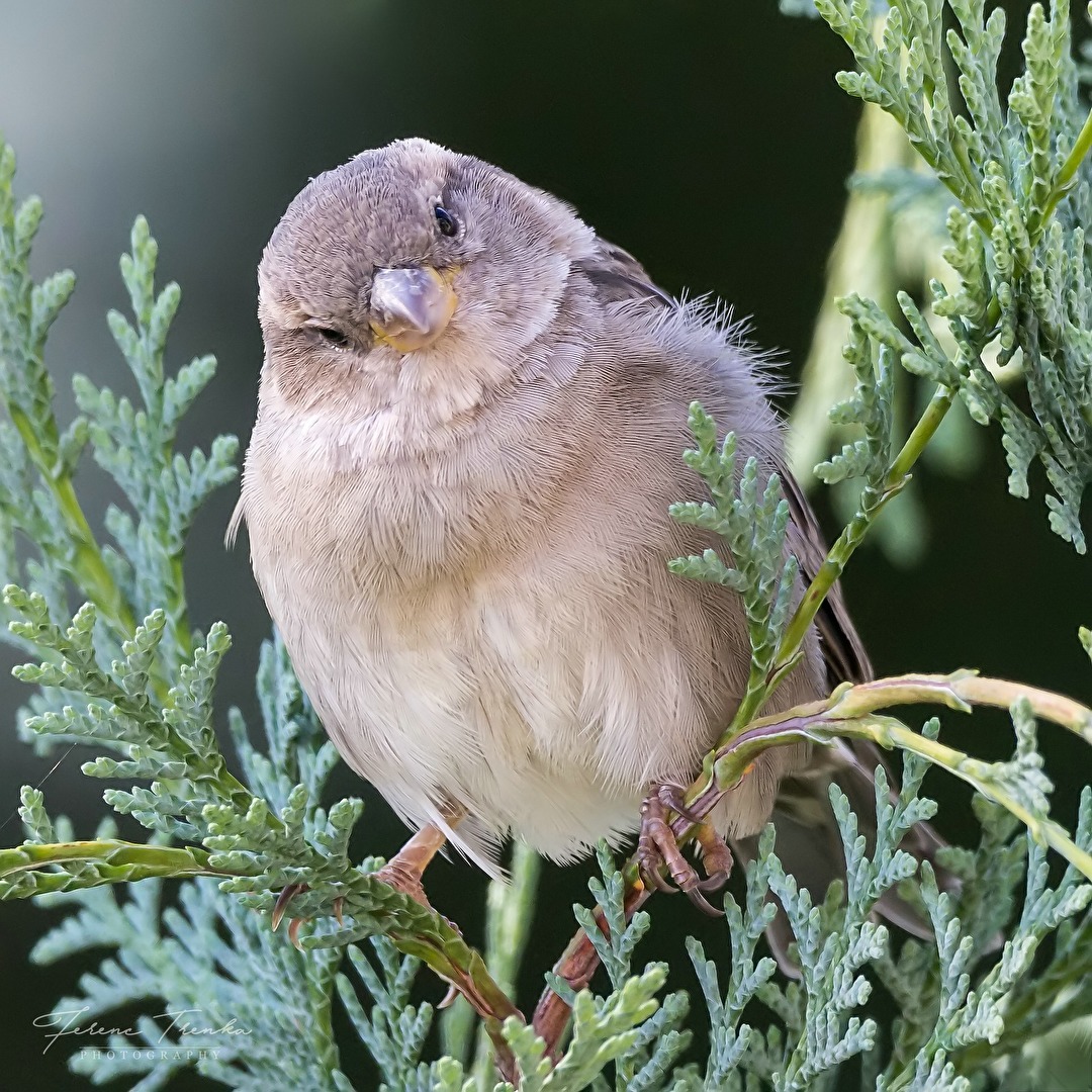 Was guckst du?!