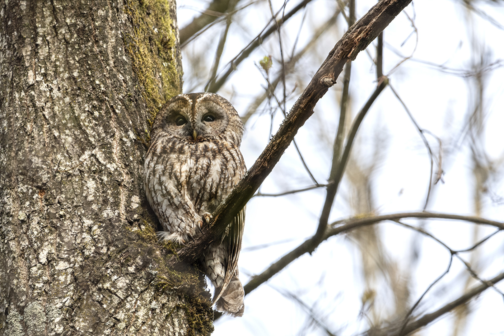 Heute Morgen beim Spaziergang erwischt..