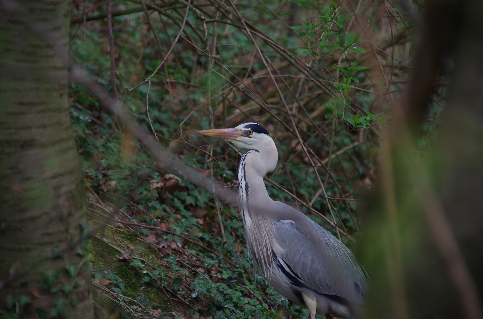 Mist, der hat mich entdeckt ;-)