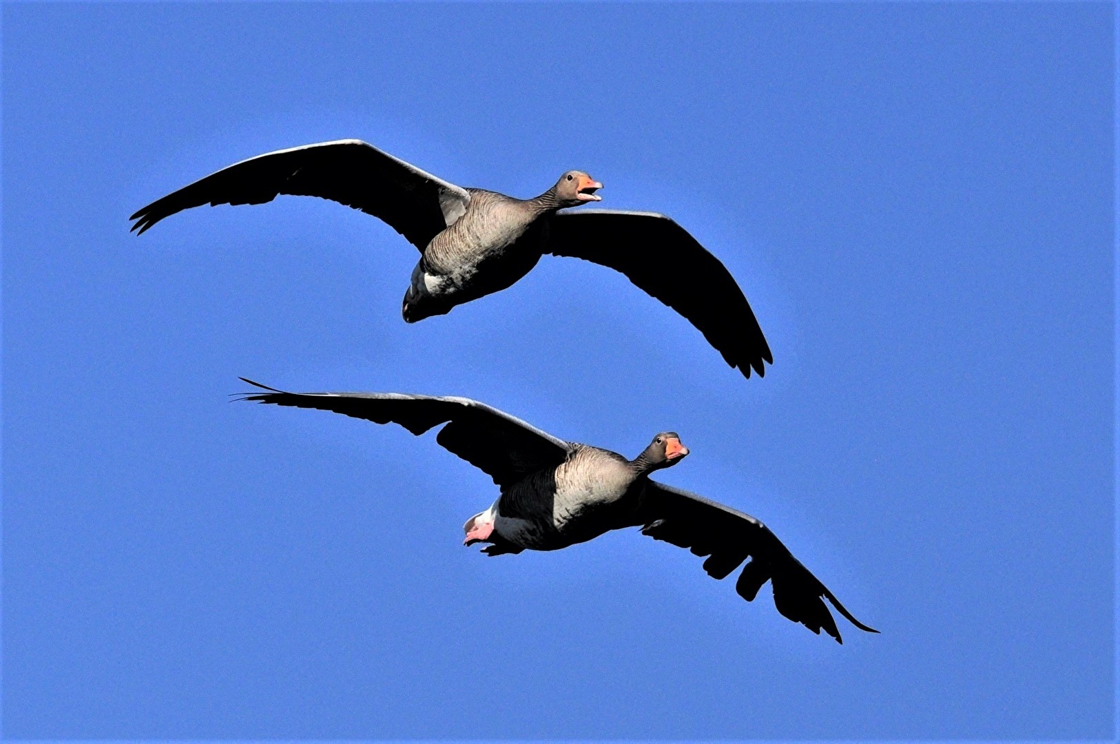 " Überflug "