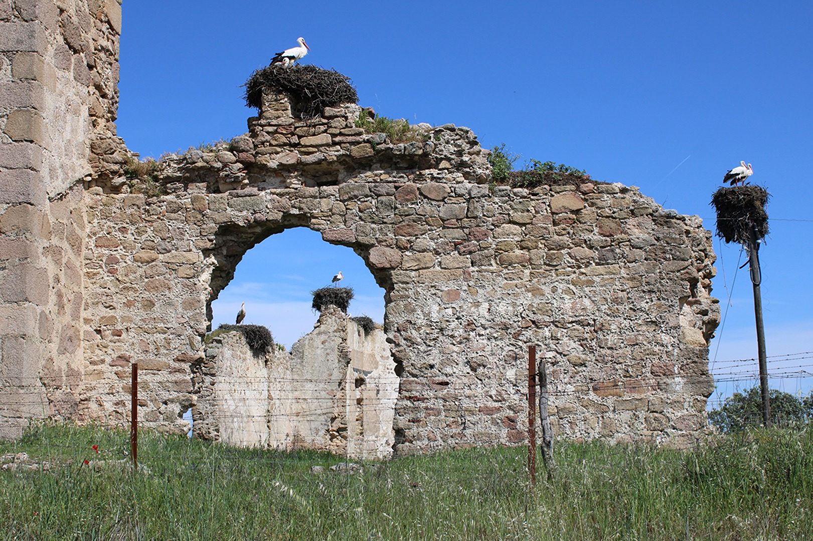 Mehr-Generationen-Haus