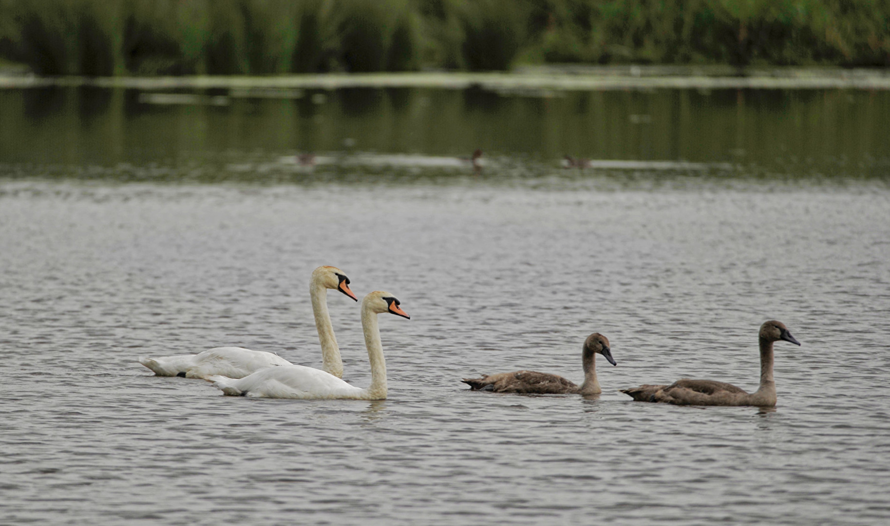 Familien- Ausflug