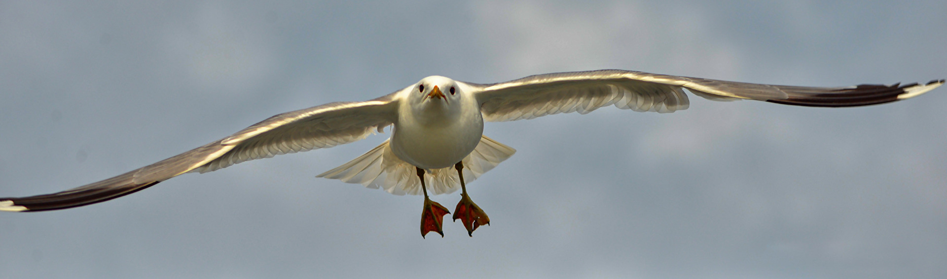 Landeanflug