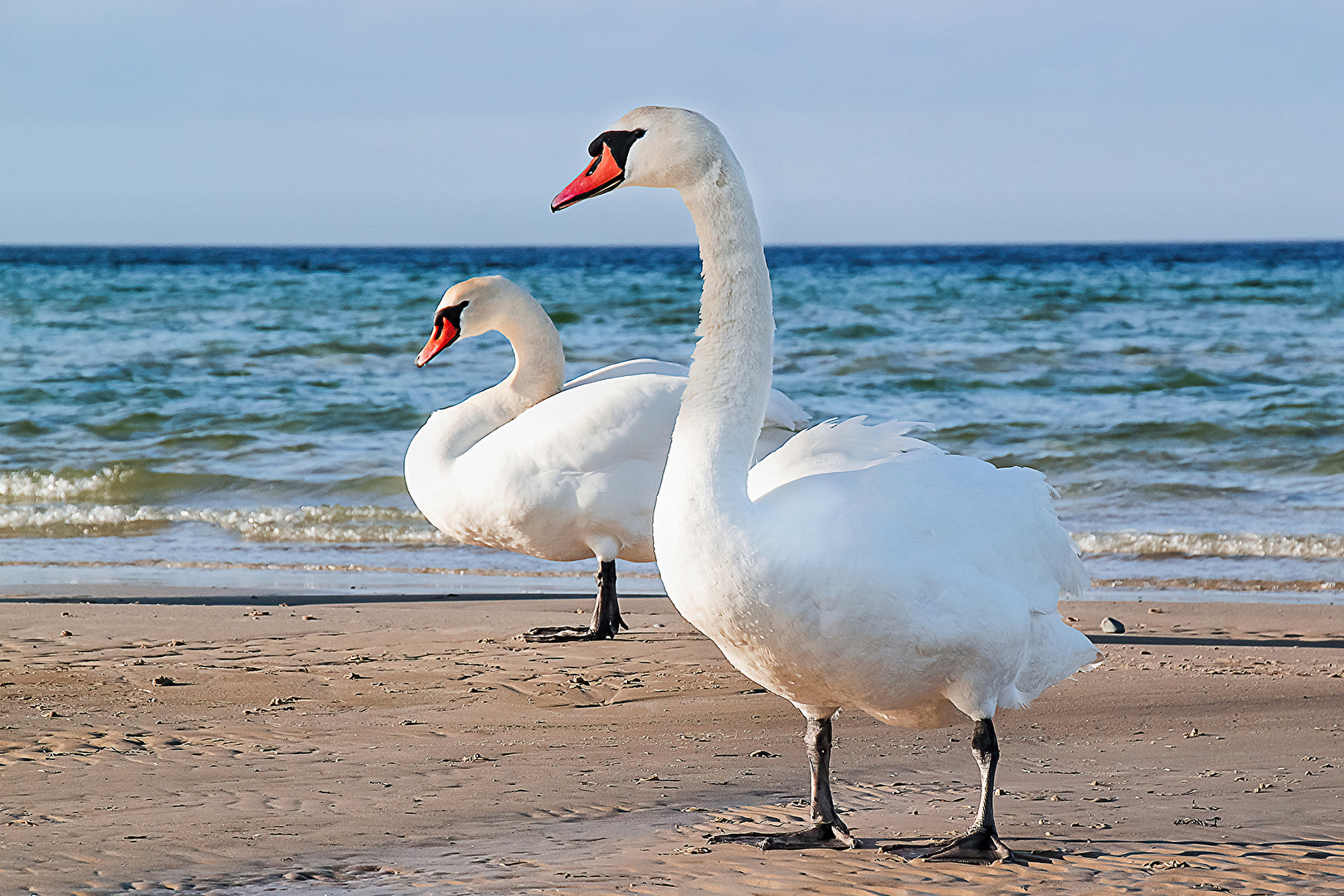 Strandspaziergang