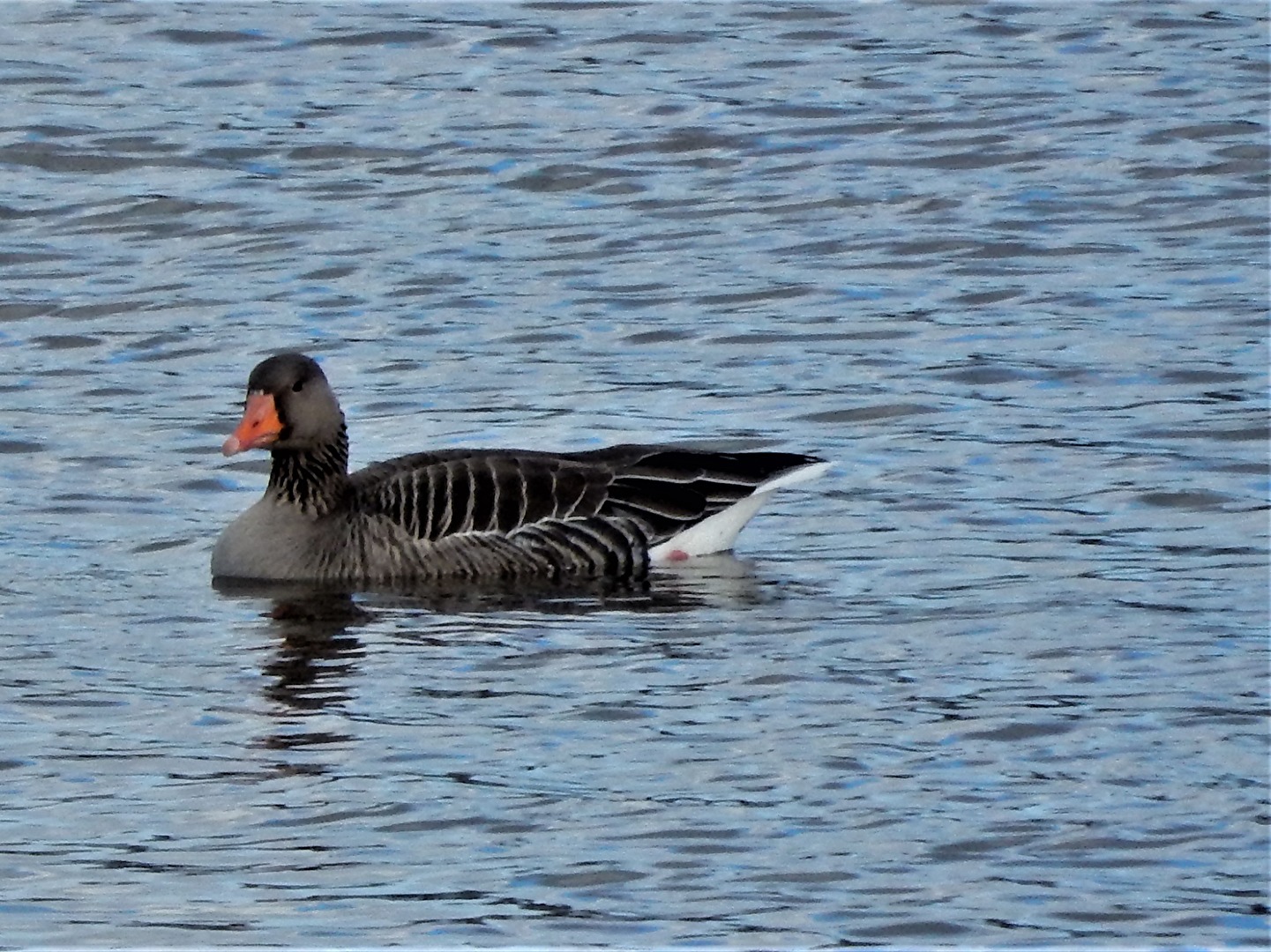 na, besteht Gefahr, nein