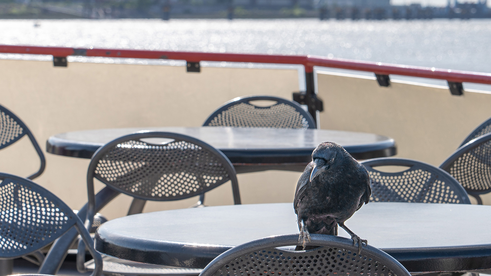 Blinder Passagier und nein, ich bin keine Möwe ;-)