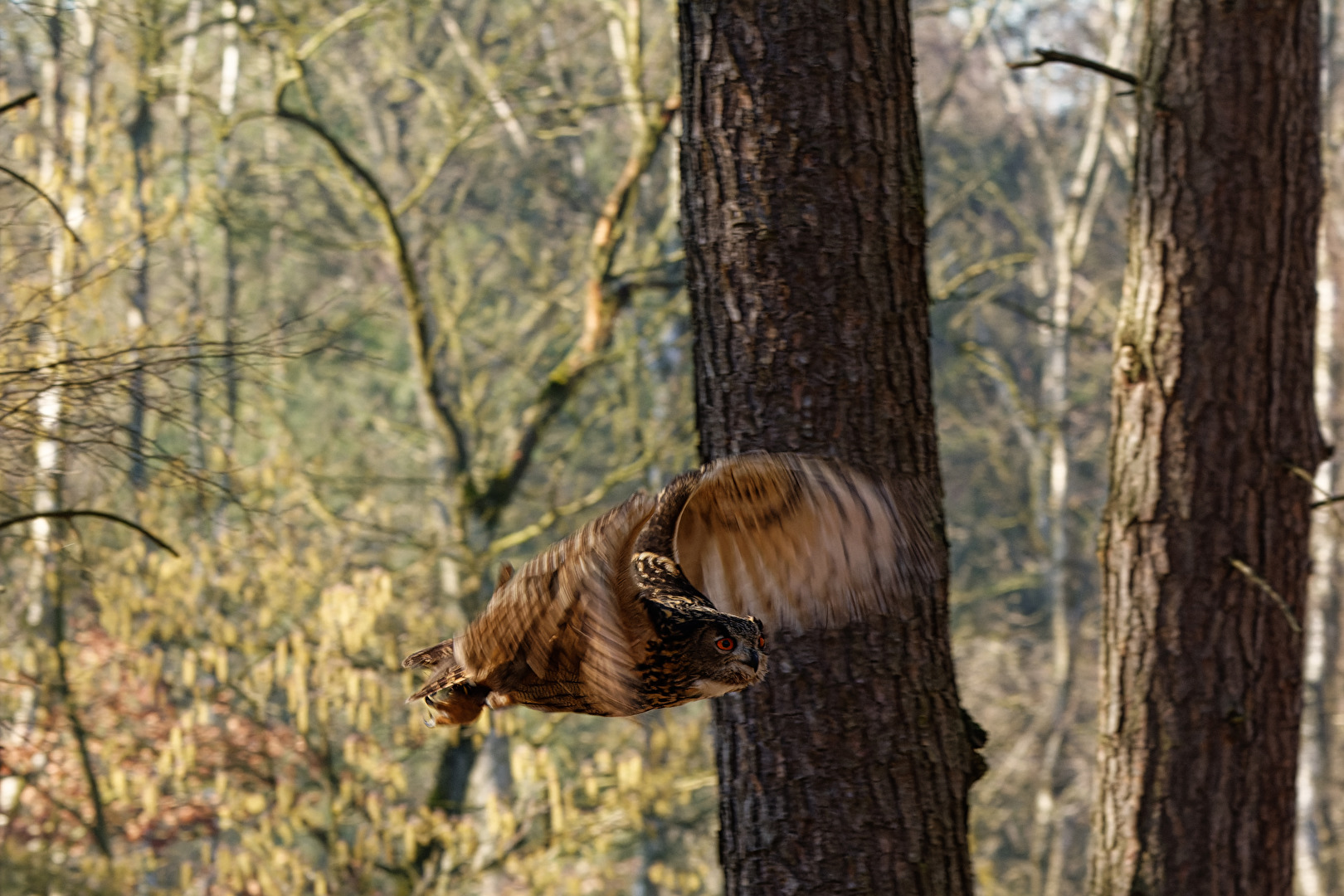 Der Flug