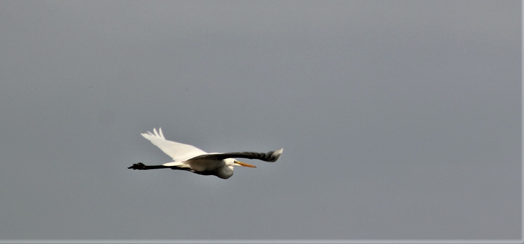 auf der Flucht