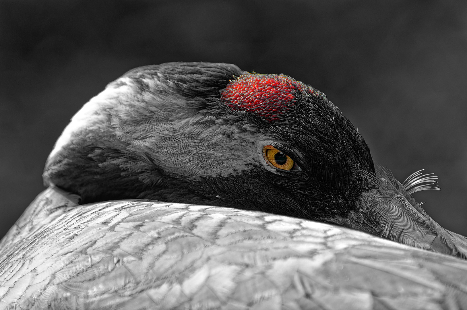 Color-Key Ich seh' dich!