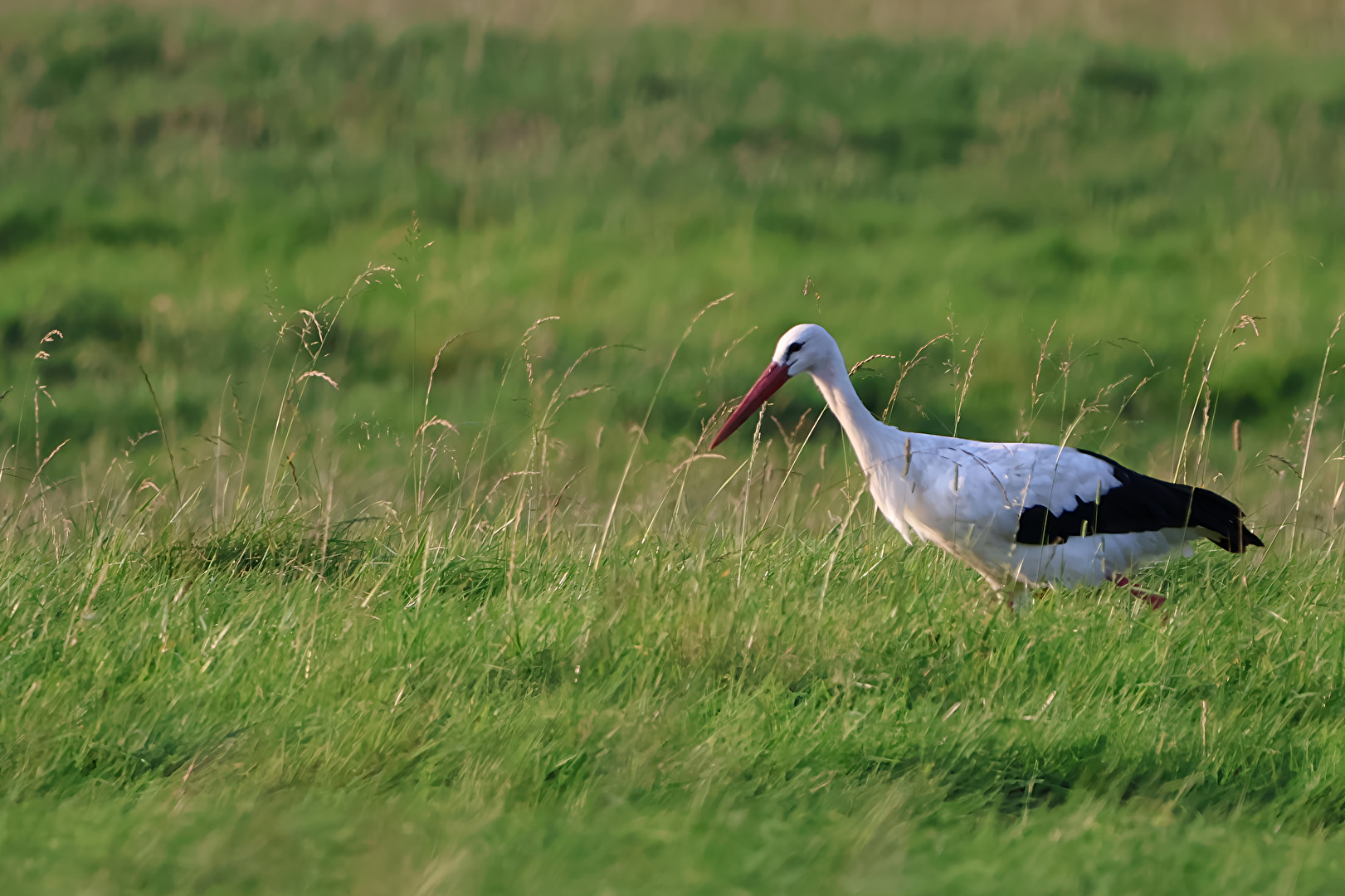 Weit weg aber es hat geklappt