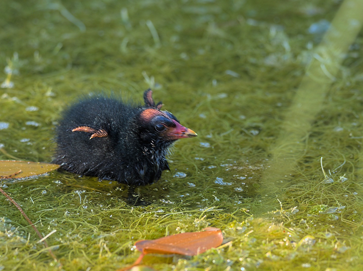 #Baby - jetzt aber flott!