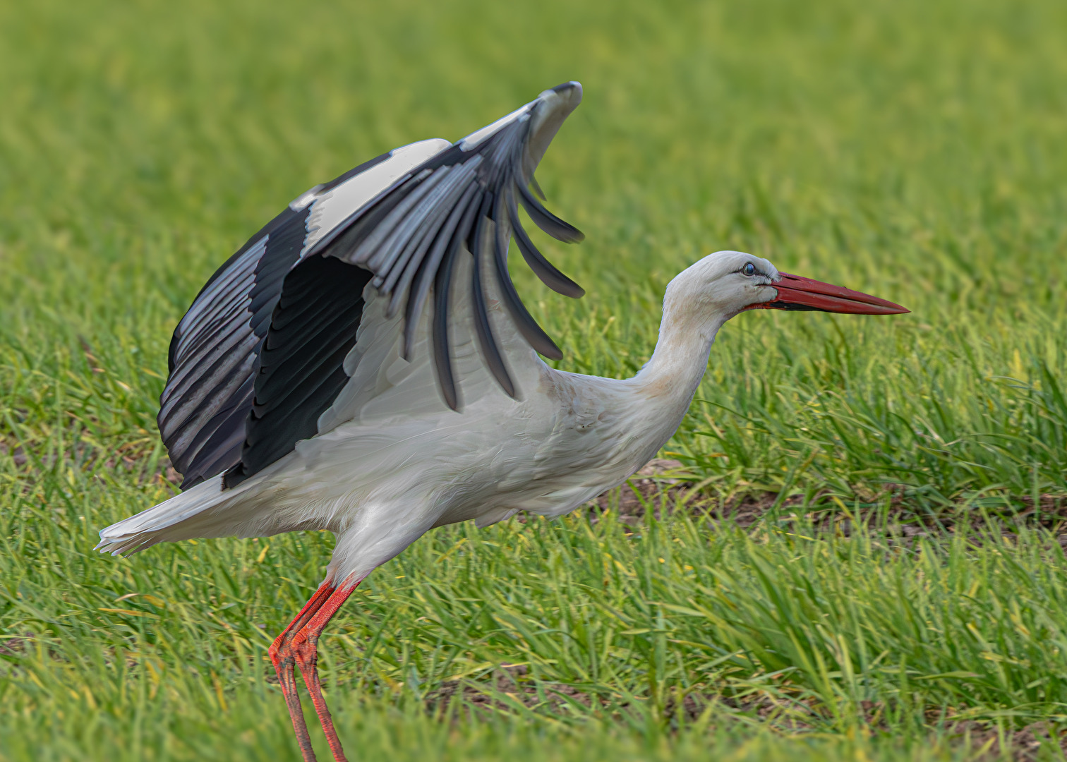 Erbitte Starterlaubnis . . . .