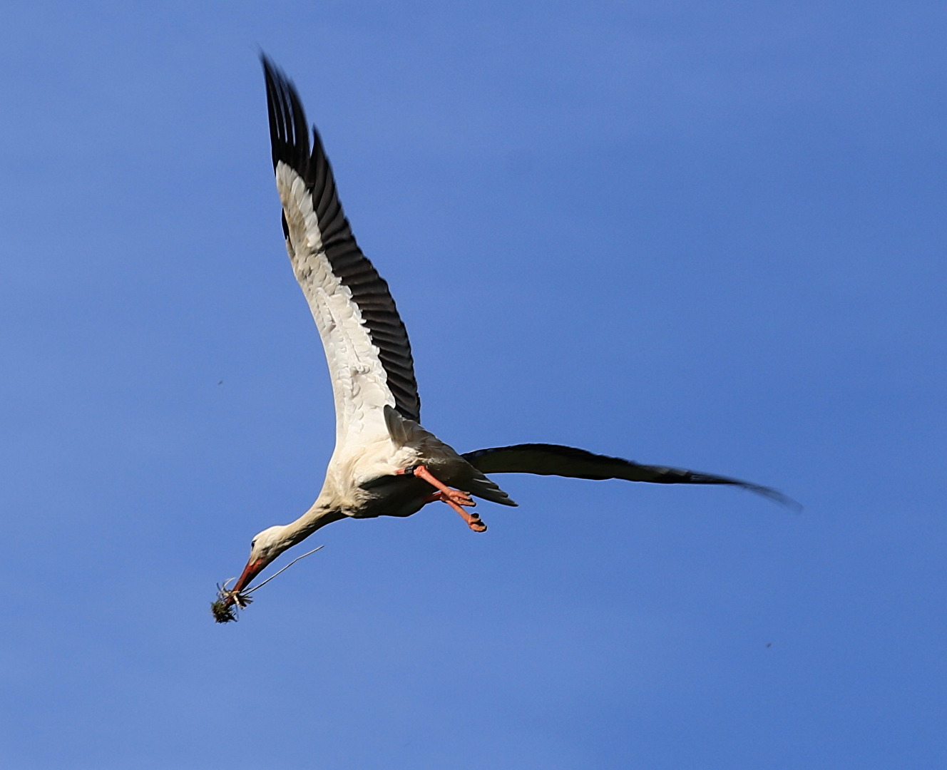 #Flugmoment