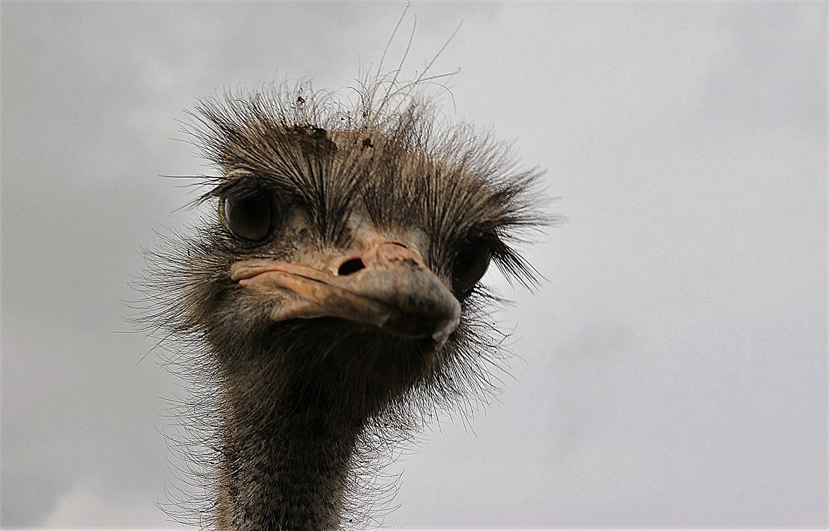 was willst du von mir