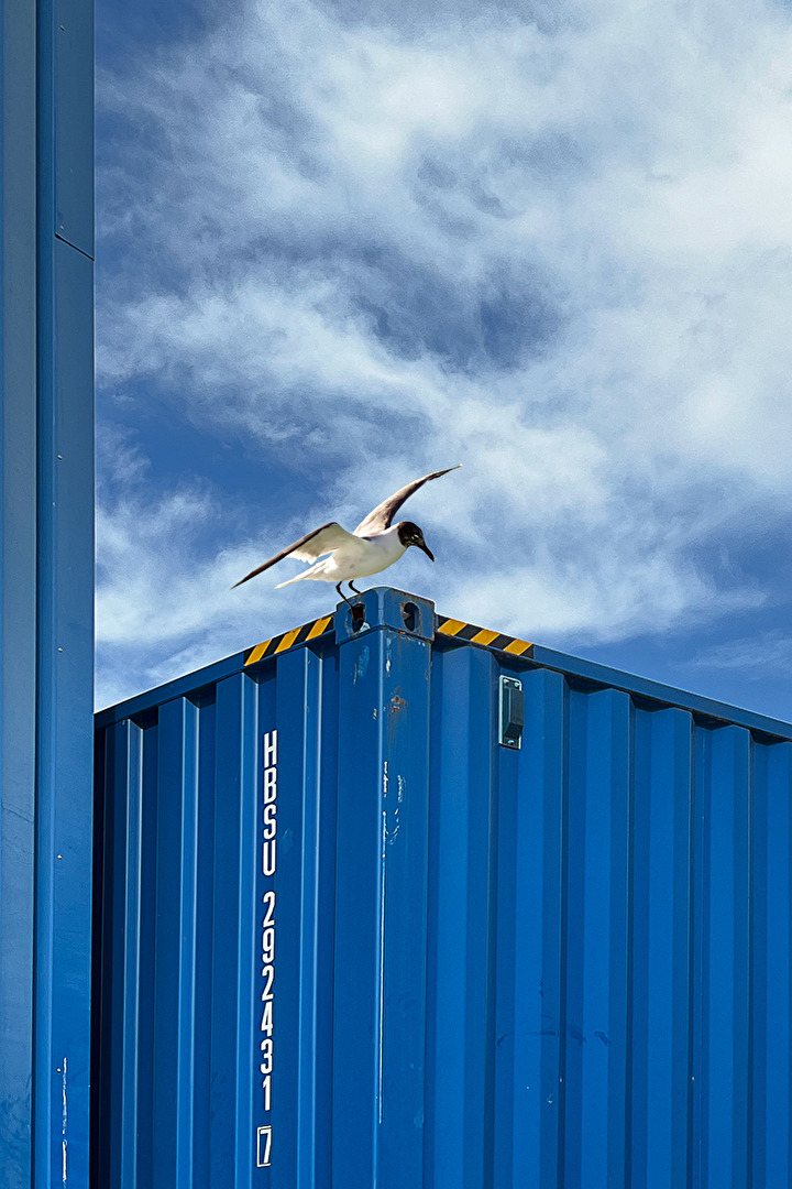Containerlandung
