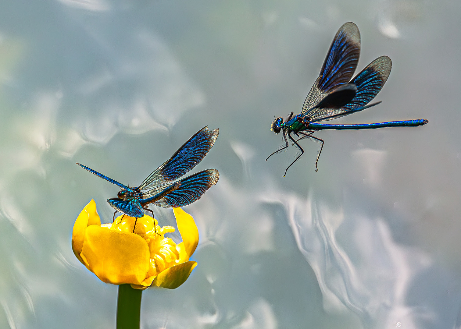 . . .  im Anflug . . .