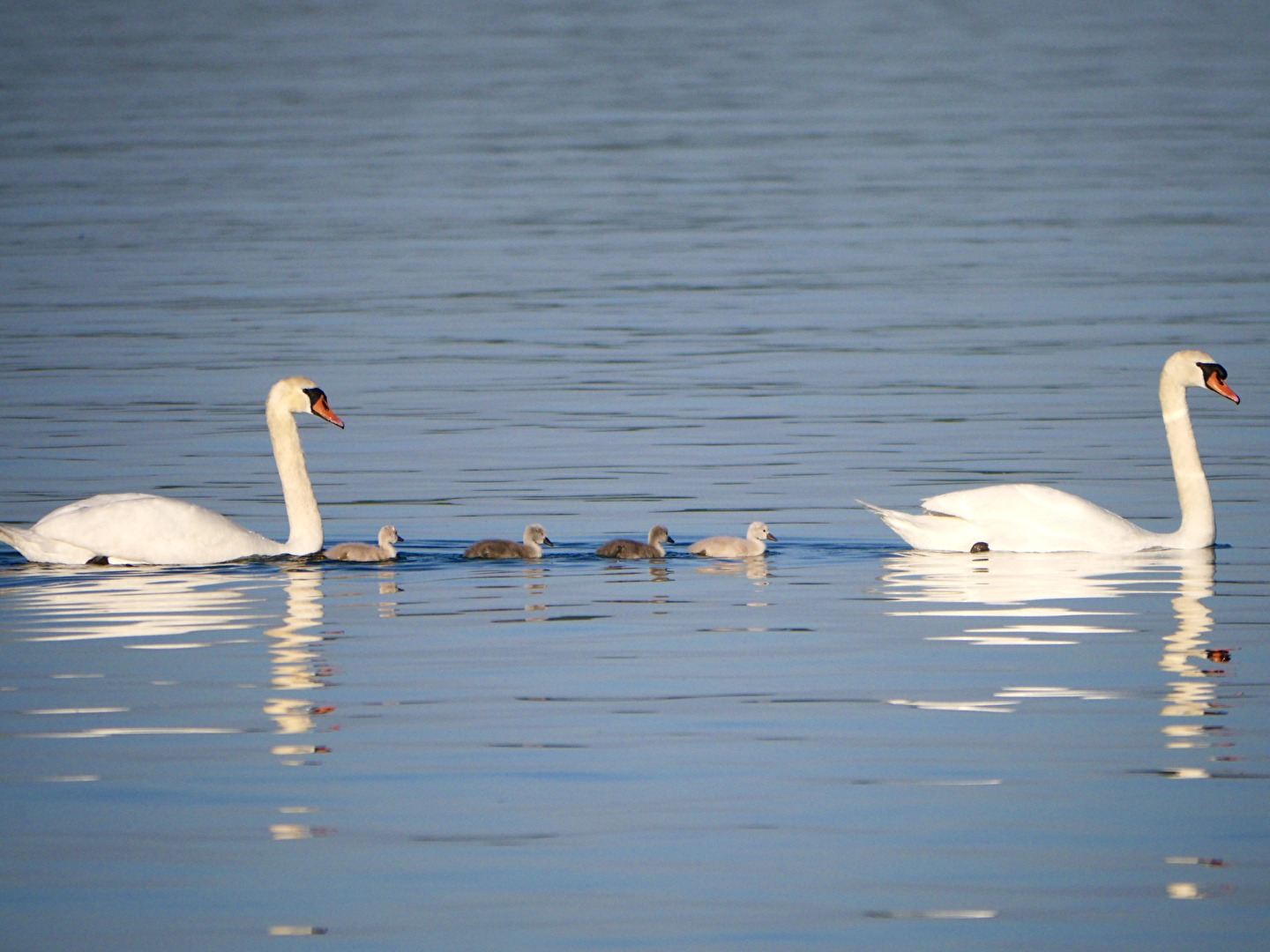 Familienausflug
