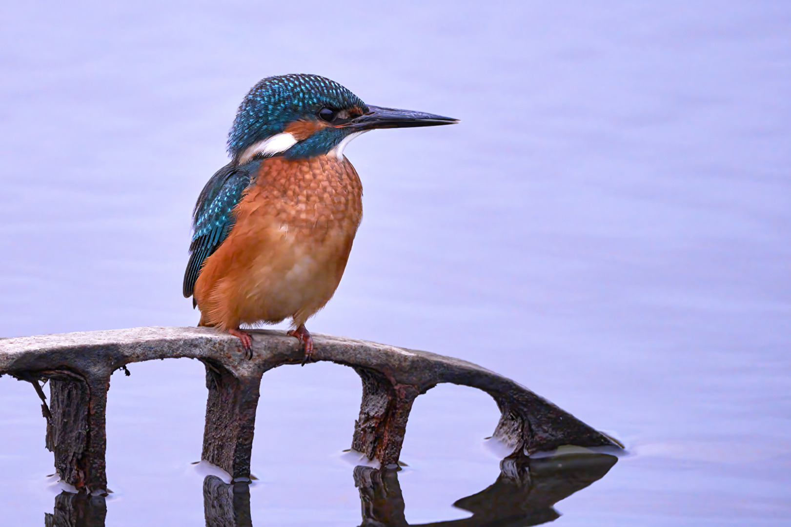 Ich bin`s nochmal ....