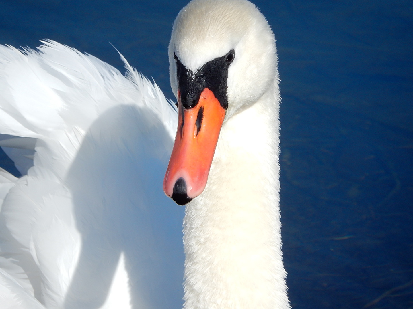 schau mich nicht so an