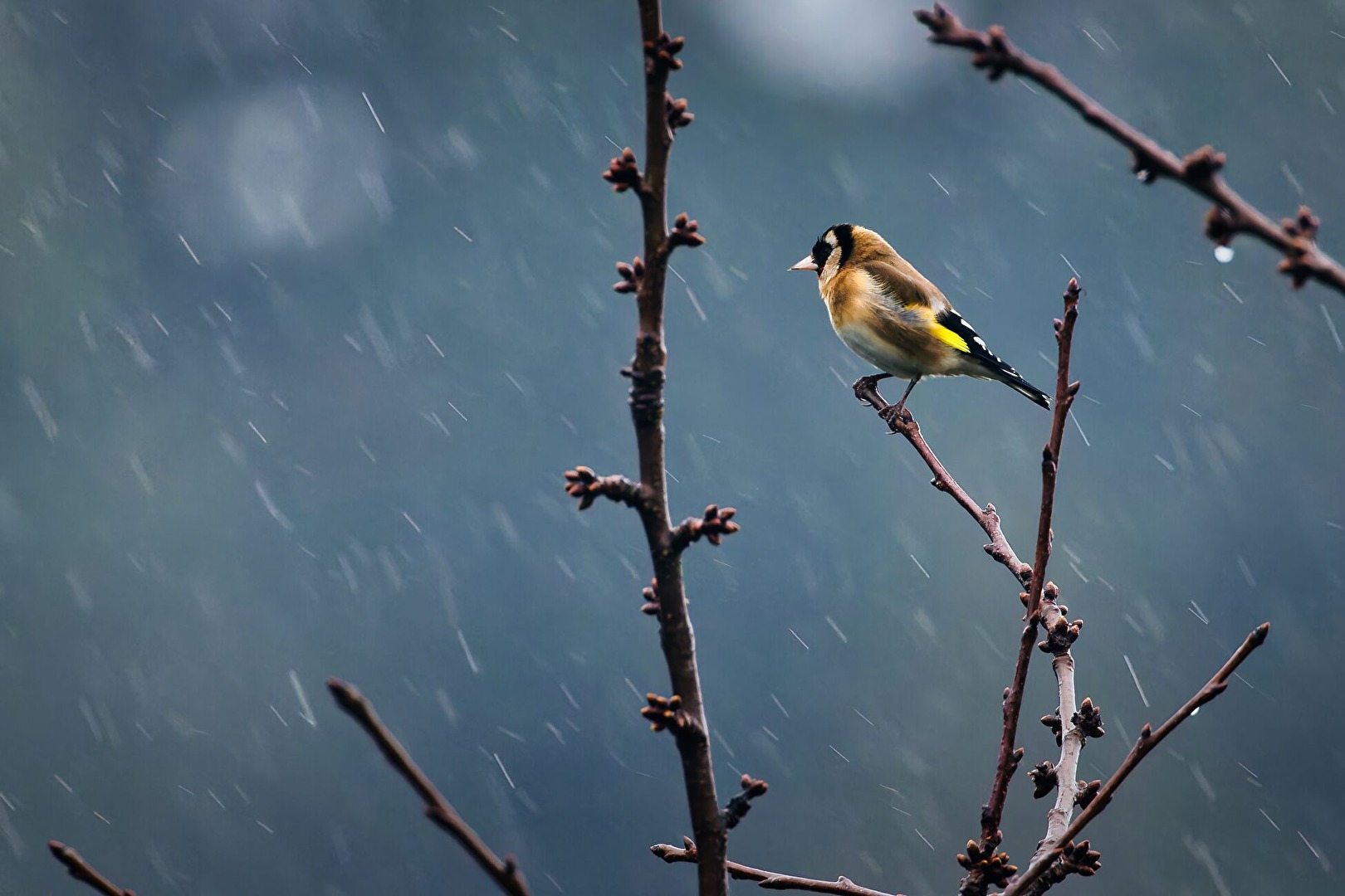 Bad Weather Day