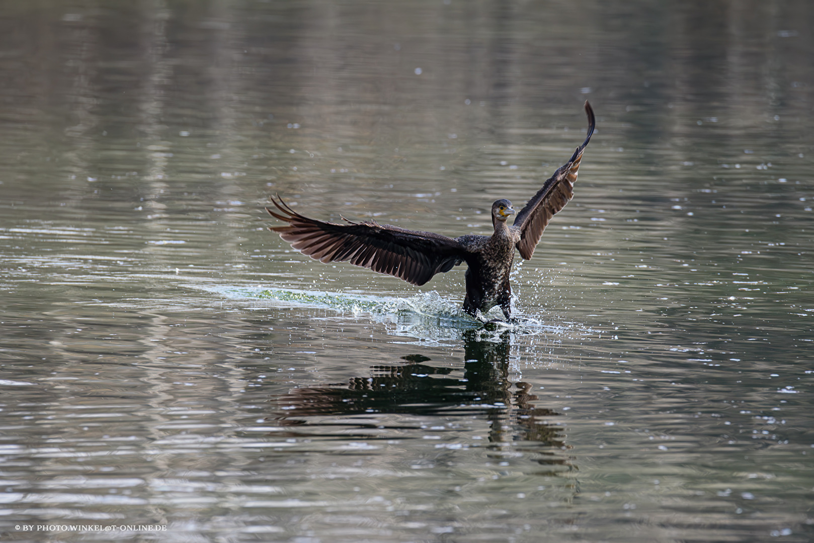 "Ups, jetzt gut das Gleichgewicht halten . . . , und ausgerechnet jetzt hab ich Zuschauer . . .