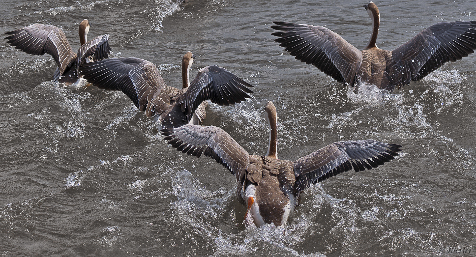 auf die Plätze fertig los....